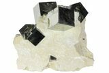 Wide, Natural Pyrite Cubes In Rock - Navajun, Spain #94334-4